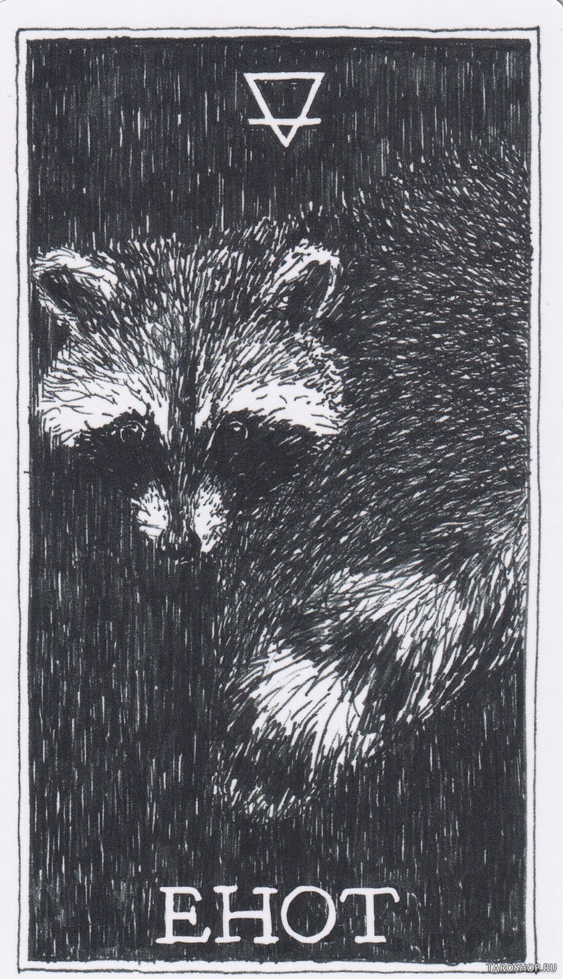 The Wild Unknown Animal Spirit (Дикое Неизвестное тотемное животное)